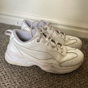 White Pumas